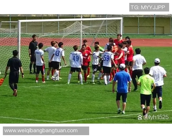 足球明星数量减少的原因分析与未来发展趋势探讨